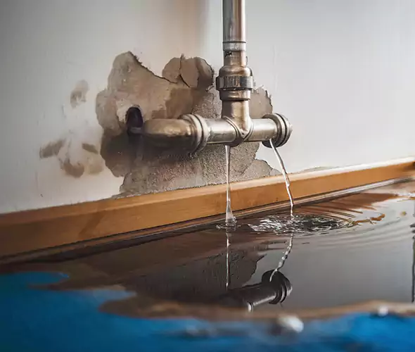 Professional Water Damage Restoration Experts in Lake Worth, FL — Fast, Reliable & Certified